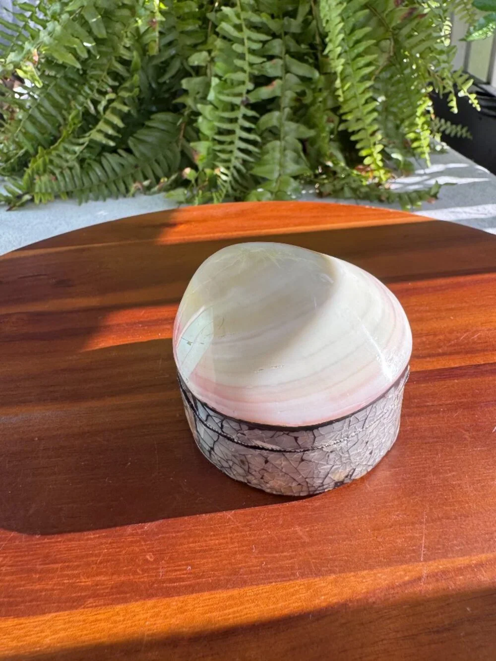 Abalone Shell Trinket Box – Iridescent Mosaic Jewellery Holder